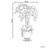 Beliani Dirbtinis augalas ORCHID 65 cm baltas
