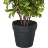 Beliani Dirbtinis augalas NOVELLA 36 cm Baltas