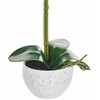 Beliani Sztuczna roślina ORCHID 42 cm Baltas