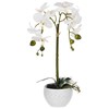 Beliani Sztuczna roślina ORCHID 42 cm Baltas
