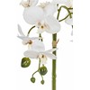 Beliani Sztuczna roślina ORCHID 42 cm Baltas