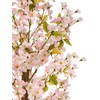 Beliani Dirbtinis augalas SAKURA 150 cm rožinis
