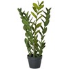 Beliani Sztuczna roślina ZAMIIFOLIA 76 cm Žalias