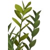 Beliani Sztuczna roślina ZAMIIFOLIA 76 cm Žalias