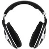 Ausinės Sennheiser HD 599 Special Edition