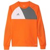 Adidas Assita 17 Jr AZ5402 sportinis megztinis
