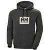 Helly Hansen Tokyo džemperis su gobtuvu M 53289-482