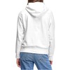 Levi's Graphic Standard Hoodie Moteriškas 184870024