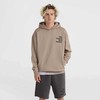 Oneills O'Neill Future Surf Society Hoodija M 92800613454