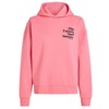 Oneills O'Neill Future Surf Society Hoodie W 92800613440