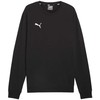 Bluza vyriška Puma Team Goal Casuals Crew Neck Sweat juoda 658592 03 (L)