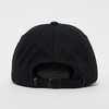 Karl Kani Varsity Kepurė 7104416