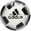 Futbolo kamuolys Adidas HE3818 R.5, baltas/juodas