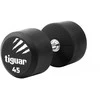 Profesionalus PU svarmuo / hantelis TIGUAR 1–70 kg (Svoris: 45 kg)