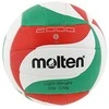 Molten Tinklinio kamuolys training V5M2000L sint. oda palengv