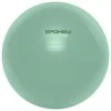 Sporto salės kamuolys Spokey FITBALL