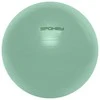Sporto salės kamuolys Spokey FITBALL