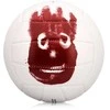 Tinklinio kamuolys Wilson Castaway