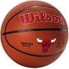 Krepšinio kamuolys training WILSON NBA TEAM Alliance Chicago Bulls sint. oda
