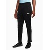 Nike Park 20 Megztos Kelnės M FJ3017-010