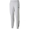 Kelnės moterims Puma Power Pants FL pilka 589546 04 (L)