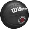 Wilson Wilson Team Tribute Toronto Raptors Mini Ball WZ4017608XB Juoda 3