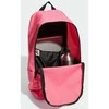 Adidas Kuprinė adidas Linear Classic Backpack Day IR9824