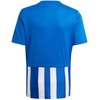 Marškinėliai adidas Striped 21 Jr GH7323 (Rozmiar-164)