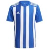 Marškinėliai adidas Striped 21 Jr GH7323 (Rozmiar-164)