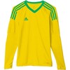 adidas Revigo 17 Jaunimo Vartininko Marškinėliai AZ5390