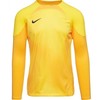 Nike Gardien IV "Vartininko" marškinėliai M DH7967 719