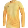 Nike Gardien IV "Vartininko" marškinėliai M DH7967 719