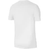 Sportiniai marškinėliai vyrams Nike Dri-FIT Park 20 M CW6952-100, balti