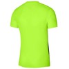 Nike Dri-FIT Precision 6 M marškinėliai DR0944-702