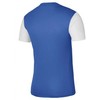 Nike Dri-Fit Tiempo Premier 2 M Marškinėliai DH8035-463