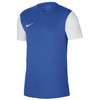 Nike Dri-Fit Tiempo Premier 2 M Marškinėliai DH8035-463