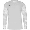 Bluza bramkarska vaikams Nike Dry Park IV JSY LS GK JUNIOR pilka CJ6072 052 (L)