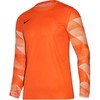 Bluza bramkarska vyriška Nike Dry Park IV JSY LS GK oranžinė CJ6066 819 (L)