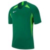 Nike Legend trumpos rankovės marškinėliai jaunuoliams AJ1010-302
