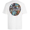Oneills O'Neill "Beach Graphic" marškinėliai vyrams M 92800613984