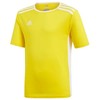 Adidas Entrada 18 Jsyy Jr CF1039 marškinėliai