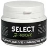 SELECT RAUMENŲ TEPALAS Muscle ointment 1