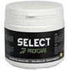 SELECT RAUMENŲ TEPALAS Heat 2 100 ml