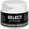 SELECT RAUMENŲ TEPALAS Heat 3 100 ml