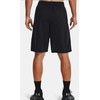 Under Armour Perimeter 11'' Šortai M 1370222 002