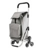 Aktivo Kruizeris Expert Premium 604361 Pirkinių vežimėlis