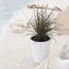 Sodo vazonas ⌀30 cm Matuba baltas PROSPERPLAST