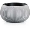 Prosperplast Gėlių vazonas Beton Bowl 19x29cm Pilka