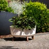 Prosperplast Vazonas Gracia Low Eco Wood DGRL400LW baltas eko