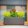 Stačiakampis sodo vazonas 48 x 18 x 18 cm wenge PATIO